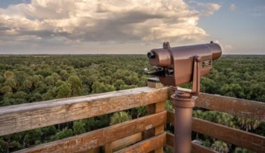 The best Florida family vacation might surprise you — it's not Orlando