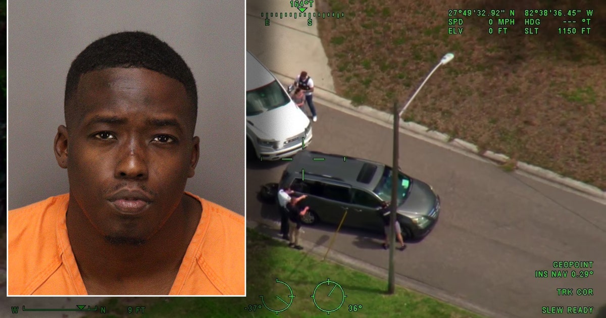 Hillsborough County man accused of attacking store owner during $50K jewelry robbery at University Square Mall