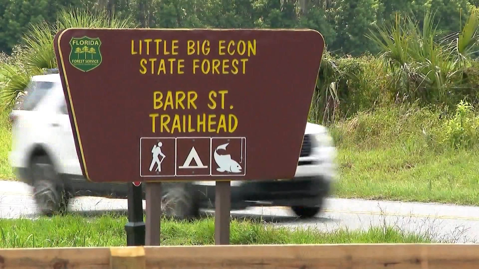Woman killed by alligator while swimming in Florida's Econlockhatchee River: Officials