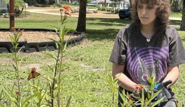 Teen takes initiative, builds first butterfly garden in Windermere