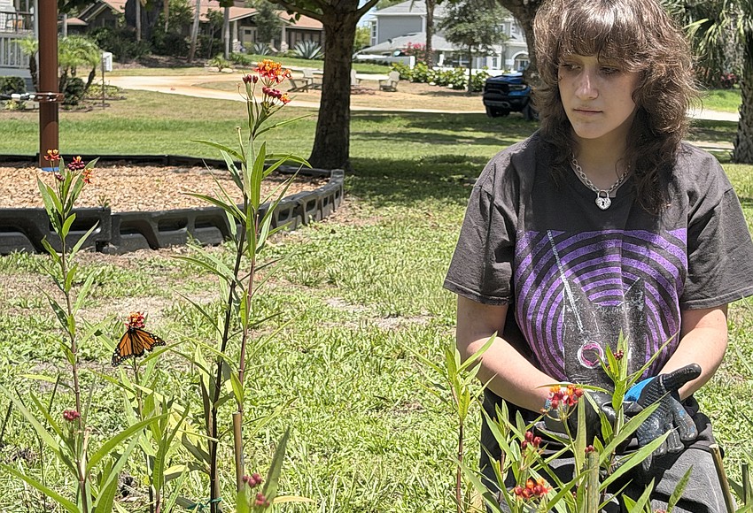 Teen takes initiative, builds first butterfly garden in Windermere