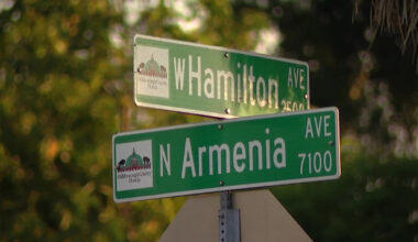 Deadly hit-and-run in Tampa, police searching for driver