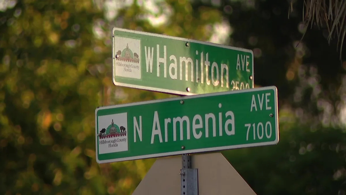 Deadly hit-and-run in Tampa, police searching for driver