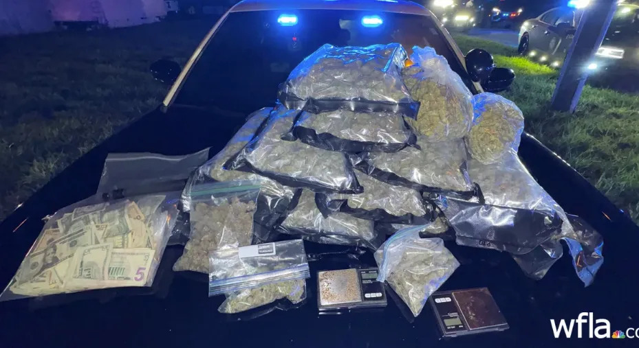 marijuana on mustang hood