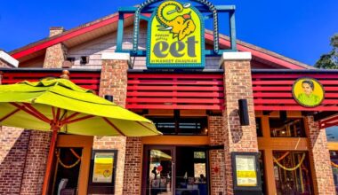 NEW Kids Cooking Class Announced For Disney Springs