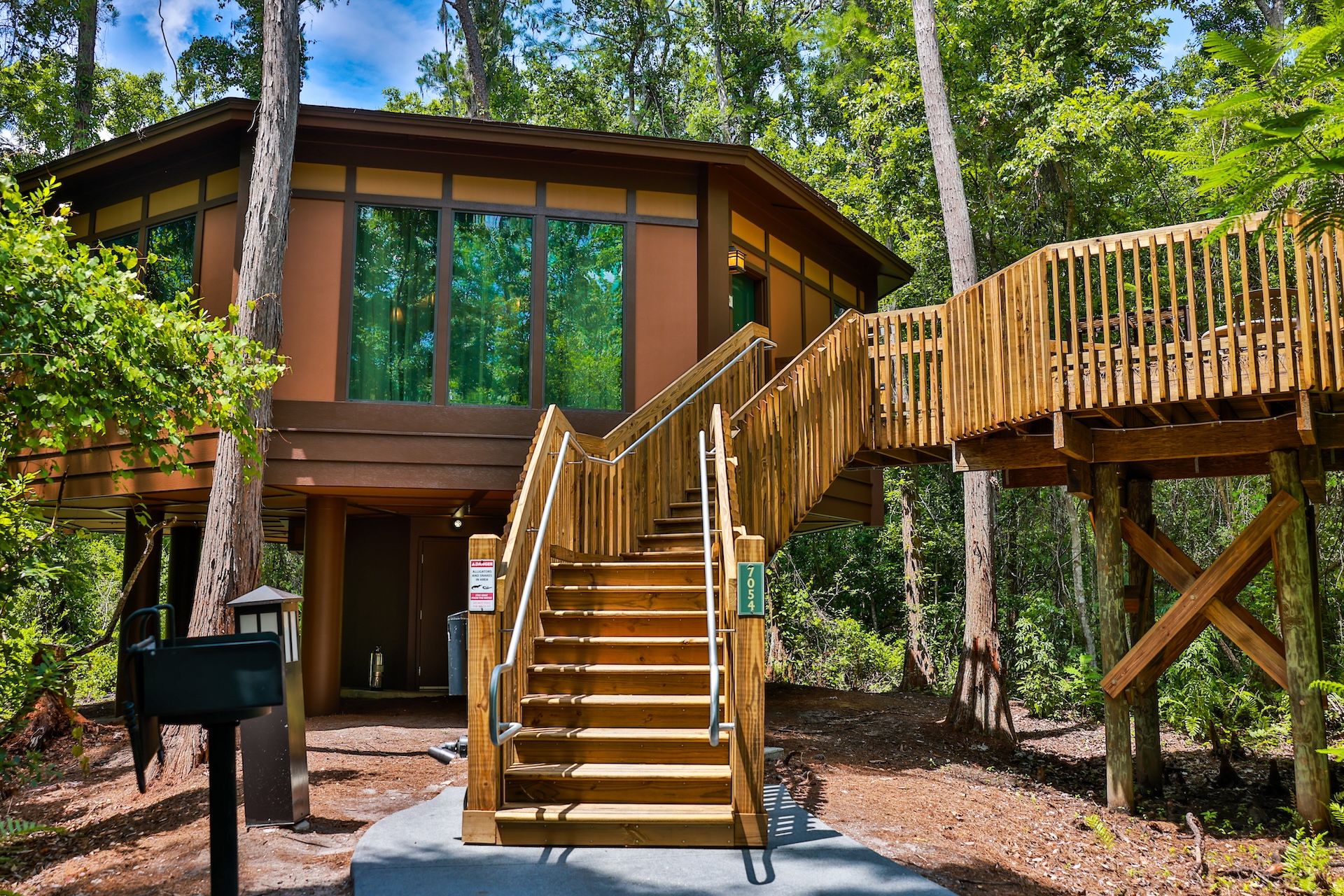 2026 dvc reimagined treehouse villas 22