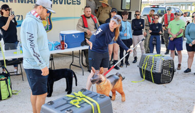 PHOTO GALLERY | Lee County Animal Services Technical Rescue Team water-based training - FORT MYERS