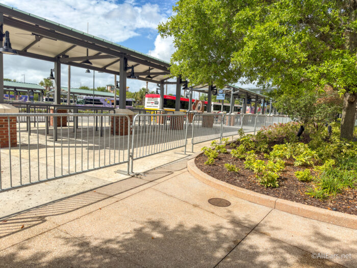 A Word of WARNING About This Disney Springs Bus Rule