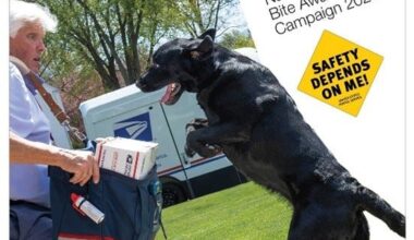 'Dangerous' dog bites on mail carriers in Florida are rising