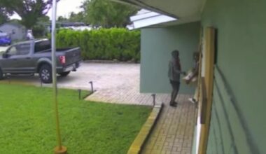 2 porch pirates swipe package worth thousands of dollars from swimwear designer’s Fort Lauderdale home - WSVN 7News | Miami News, Weather, Sports