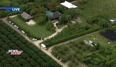 Man detained after man and woman found dead in farm area in SW Miami-Dade - WSVN 7News | Miami News, Weather, Sports