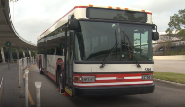 Disney Springs changes transportation access rules for guests