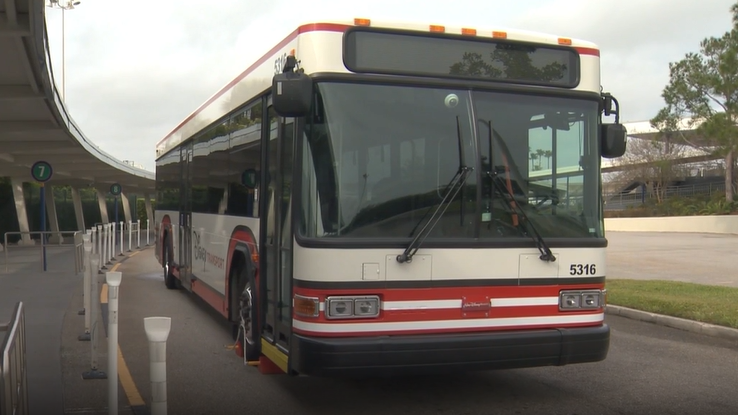 Disney Springs changes transportation access rules for guests