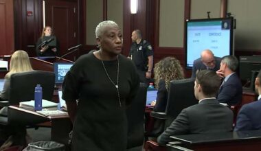 Jacksonville woman pleads not guilty in killing of 11 ducklings; felony charges officially filed