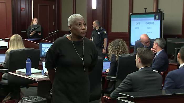 Jacksonville woman pleads not guilty in killing of 11 ducklings; felony charges officially filed