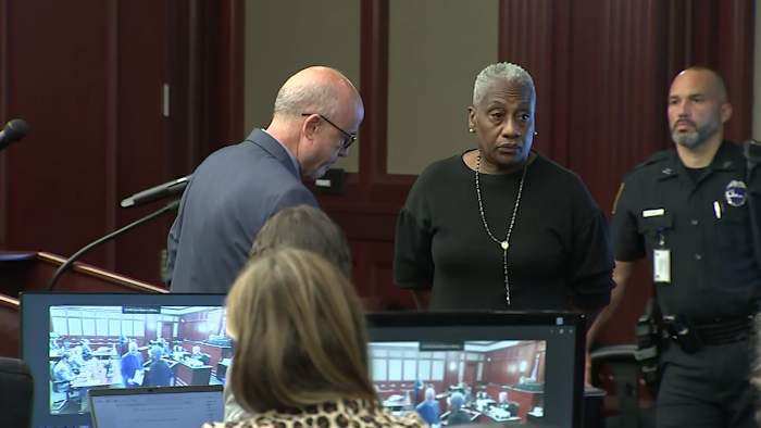 Woman accused of ‘intentionally’ running over 11 ducklings pleads not guilty to animal cruelty charges