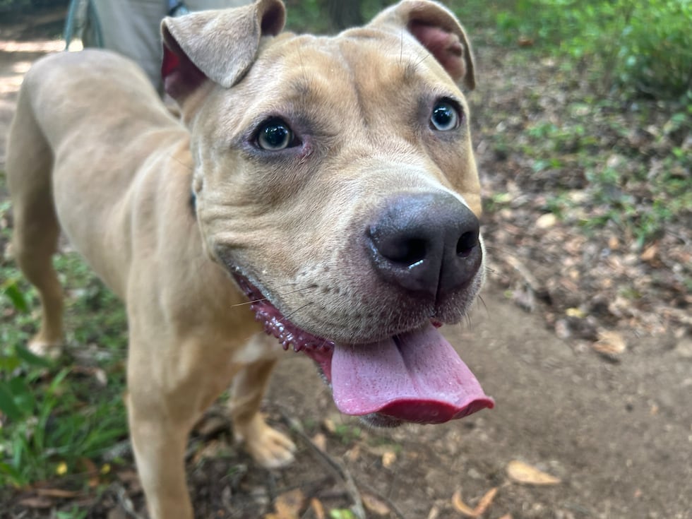 Mazy can’t wait to look into the eyes of someone who loves her and is willing to stop and drop...