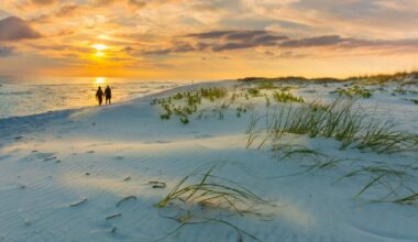 The Real Cost of Retiring on Amelia Island, Florida, at 65 on $970,000 Stress Free