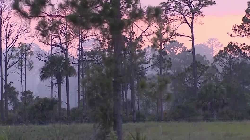Fire near Newfield Parkway in Martin County extinguished with help from multiple agencies