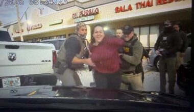 Woman pleads guilty to punching trooper, kicking ICE officer during Jacksonville traffic stop