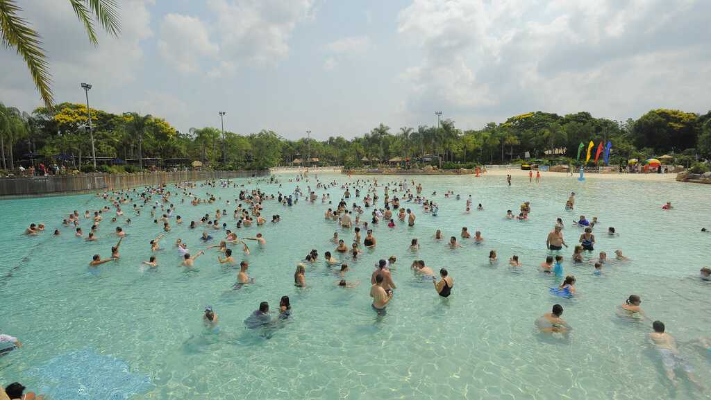 Typhoon Lagoon hosts 'World's Largest Swimming Lesson' in Orlando