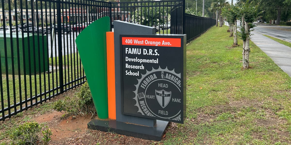 From ‘C’ to ‘A’: Florida A&M subcommittee works to boost performance at FAMU DRS