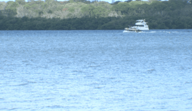 Public input sought for Tampa Bay regional flood survey