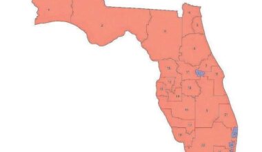 Florida Supreme Court keeps new congressional maps in place for 2026 elections