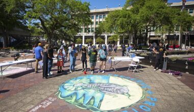 Report: City mismanagement results in loss of $1 million state grant