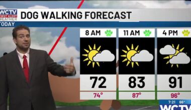 Back to reality as the humidity ramps up for Tallahassee, the Big Bend and South Georgia