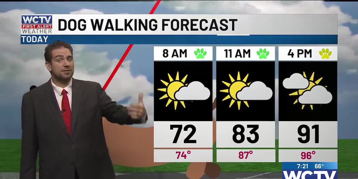 Back to reality as the humidity ramps up for Tallahassee, the Big Bend and South Georgia