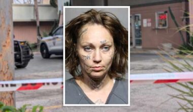 Woman charged after 2 men hit by single bullet during fight at Regency Inn: JSO