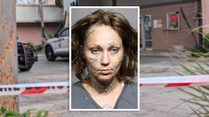 Woman charged after 2 men hit by single bullet during fight at Regency Inn: JSO