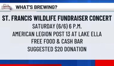 What’s Brewing - St. Francis Wildlife Fundraiser Concert