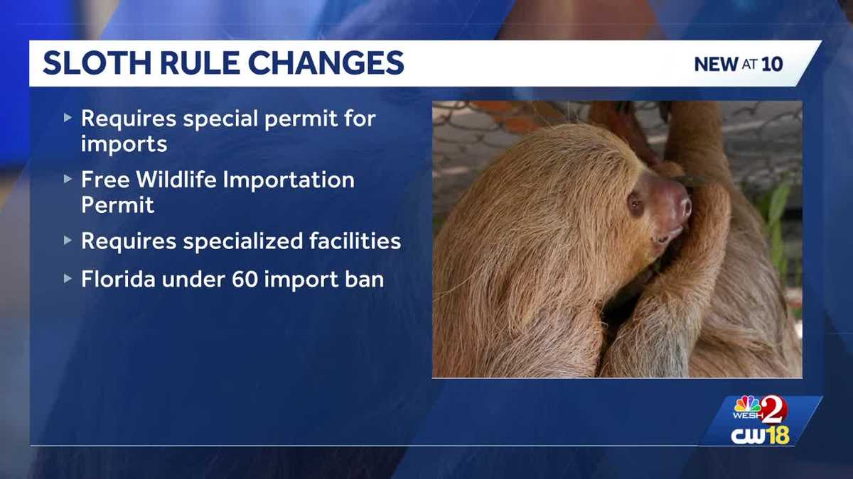 Orlando sloth deaths lead Florida to tighten import rules