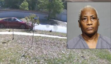 Jacksonville woman pleads not guilty to intentionally running over 11 ducklings