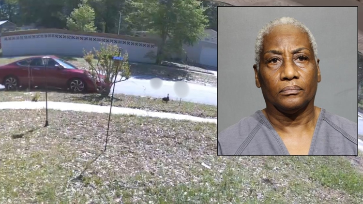 Jacksonville woman pleads not guilty to intentionally running over 11 ducklings
