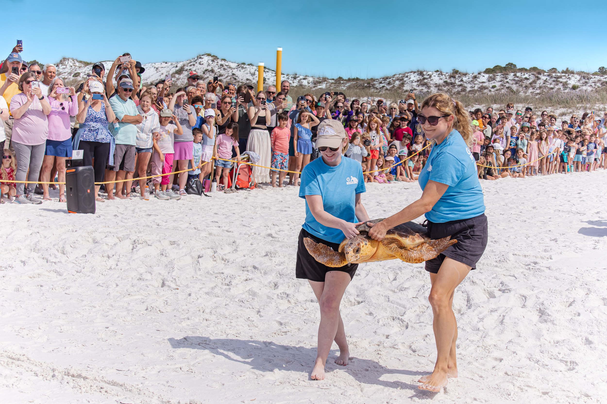 A team from the Gulfarium CARE Center conducts a public turtle release on April 22 at Topsail Hill Preserve State Park in Santa Rosa Beach, Fla. Credit: Gulfarium CARE Center