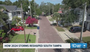 How the 2024 hurricanes reshaped South Tampa