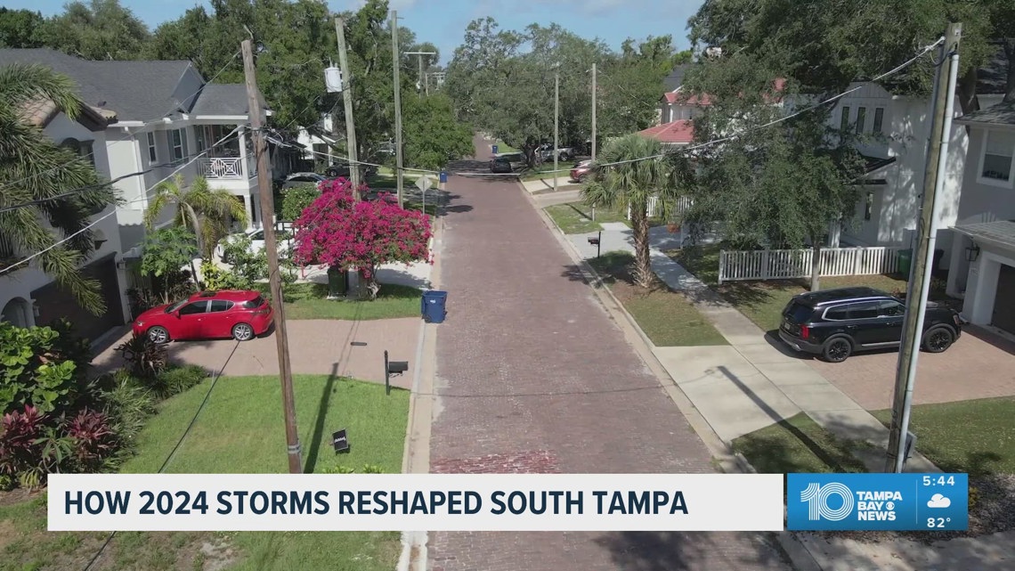 How the 2024 hurricanes reshaped South Tampa