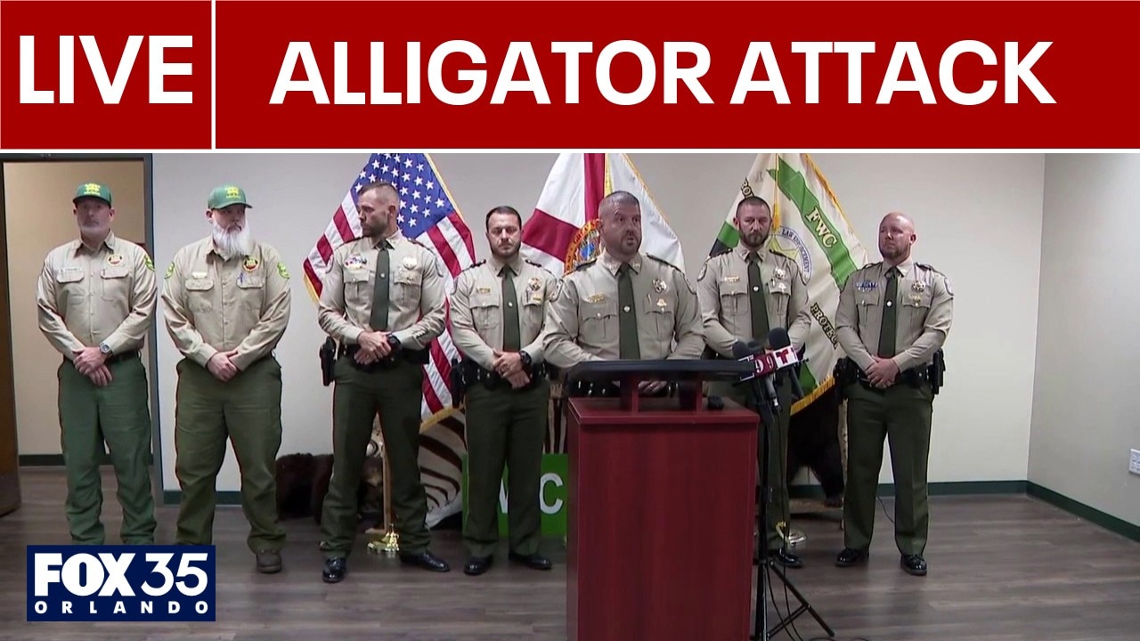 Update: Florida swimmer attacked, killed by alligator | Full