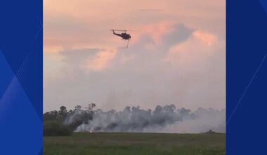 Brush fires spread across Gulf Coast as blaze grows to 240 acres in Babcock/Webb wildlife area