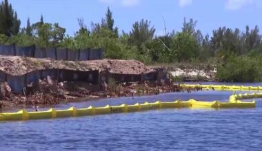 Residents question mangrove clearing near Seven Islands project in Cape Coral