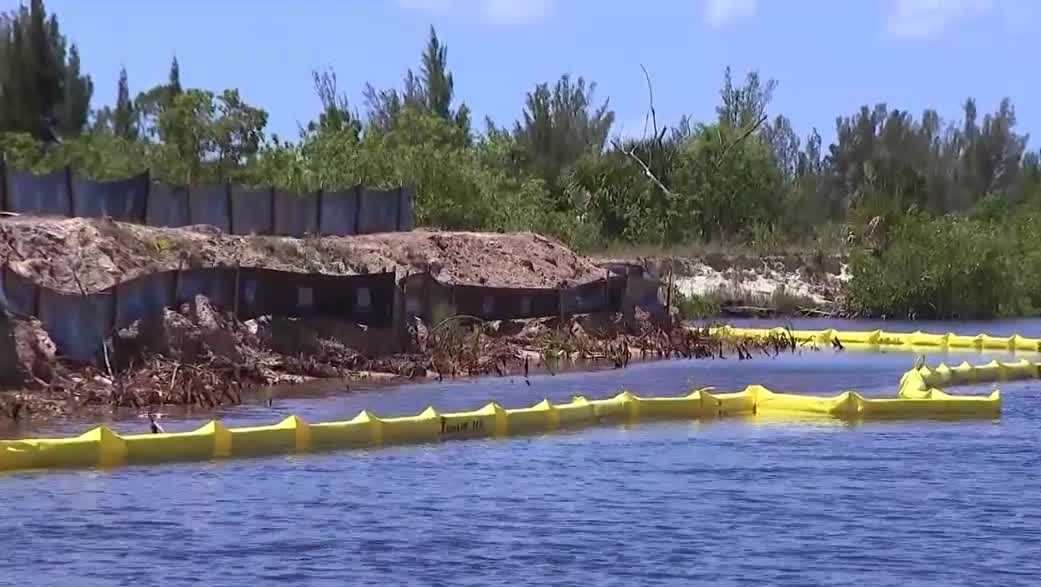 Residents question mangrove clearing near Seven Islands project in Cape Coral