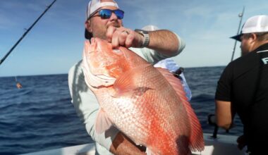 A fish fight off Florida tests Trump’s drive to deregulate America’s seas :: WRAL.com