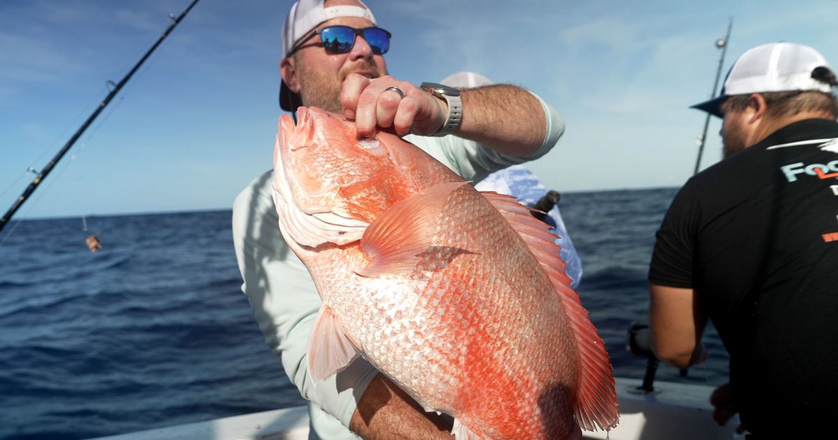 A fish fight off Florida tests Trump’s drive to deregulate America’s seas :: WRAL.com