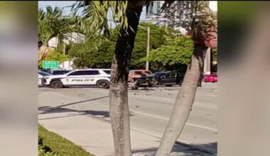 Hit-and-run suspect who injured deputy in Fort Lauderdale arrested, BSO says – NBC 6 South Florida