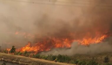 Miami-Dade brush fires burn thousands of acres and spark air quality concerns – NBC 6 South Florida