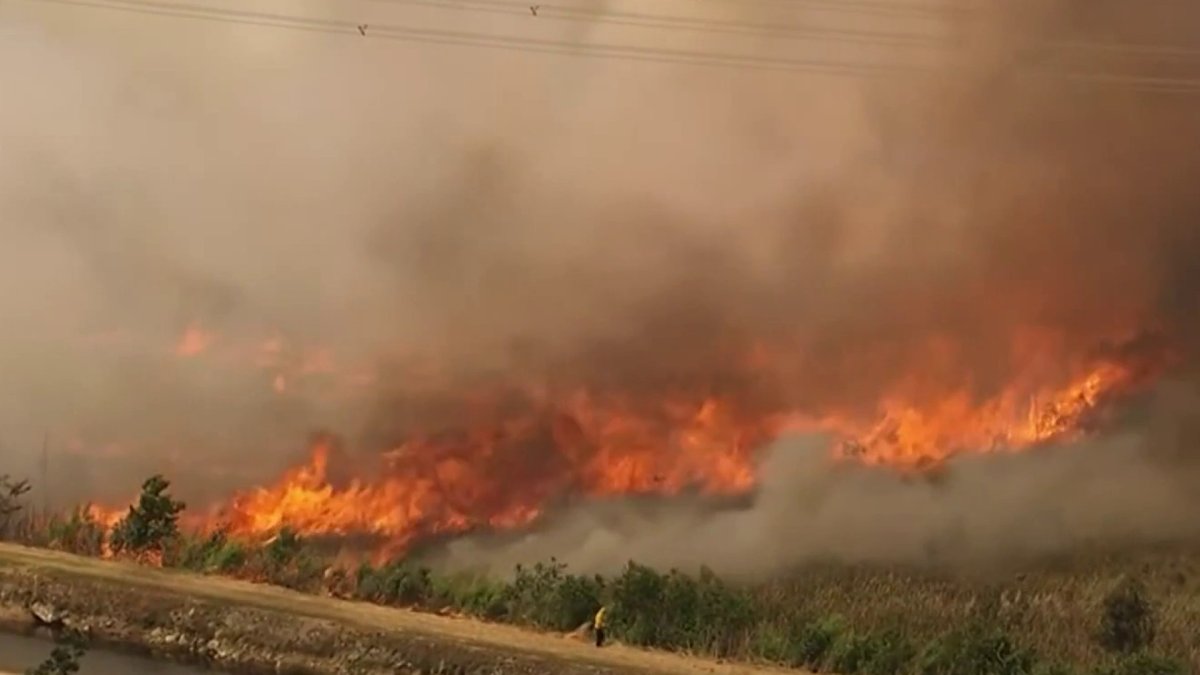 Miami-Dade brush fires burn thousands of acres and spark air quality concerns – NBC 6 South Florida