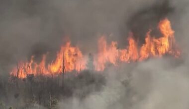 Miami-Dade brush fire started by lightning strike, officials say – NBC 6 South Florida